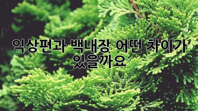 익상편과 백내장, 어떤 차이가 있을까요?